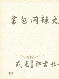 书包网辣文高h