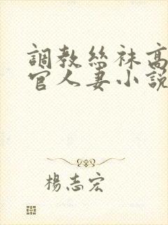 调教丝袜高跟高官人妻小说