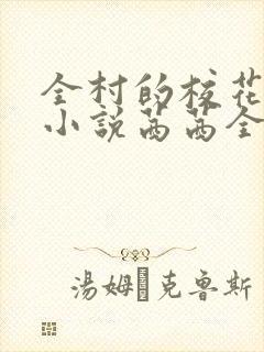 全村的校花妹妹小说茜茜全文阅读