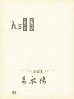 hsС˵封面