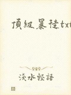 顶级暴徒txt封面