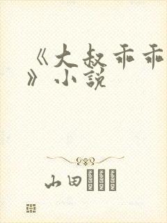 《大叔乖乖宠我》小说