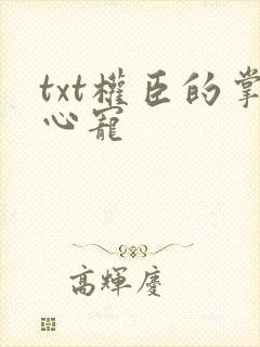 txt权臣的掌心宠