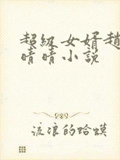 超级女婿赵旭李晴晴小说