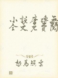 小说唐砖无弹窗全文免费阅读