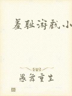 羞耻游戏小说