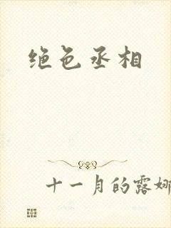绝色丞相