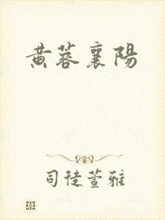 黄蓉襄阳