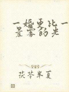 一婚更比一婚高 晨雾的光