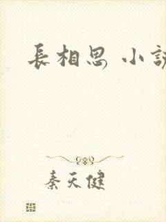 长相思 小说