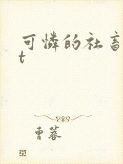 可怜的社畜txt