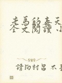 老马的春天小说全文阅读 小说封面