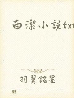 白洁小说txt