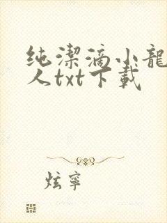 纯洁滴小龙捞尸人txt下载