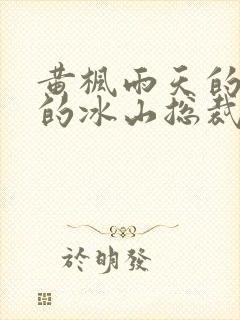 黄枫雨天的《我的冰山总裁老婆》封面