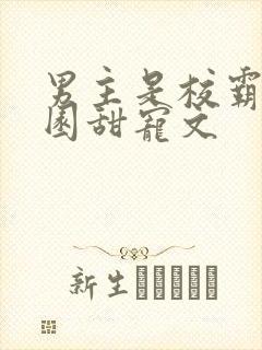 男主是校霸的校园甜宠文