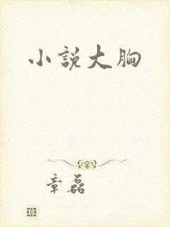 小说大胸