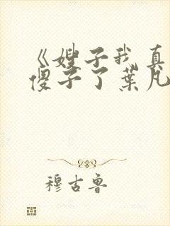 《嫂子我真不是傻子了叶凡》封面