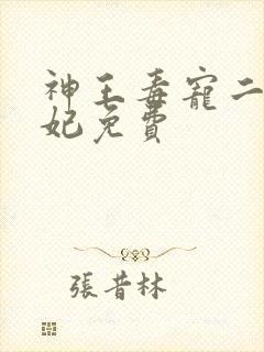 神王毒宠二嫁王妃免费