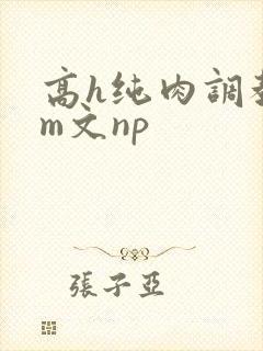 高h纯肉调教sm文np