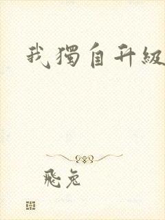 我独自升级2