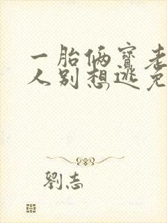 一胎俩宝老婆大人别想逃免费阅读全文封面