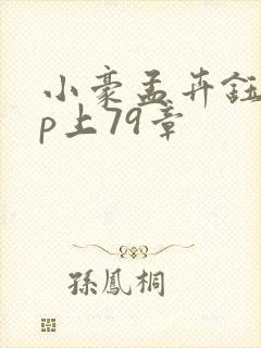 小豪孟卉钰慧三p上79章封面
