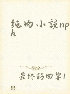 纯肉小说np高h