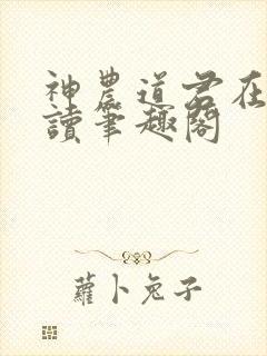 神农道君在线阅读笔趣阁封面