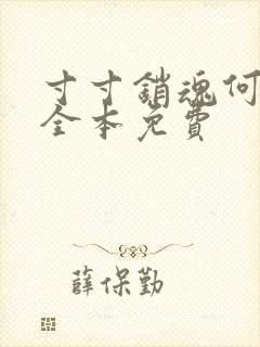 寸寸销魂何生祥全本免费封面