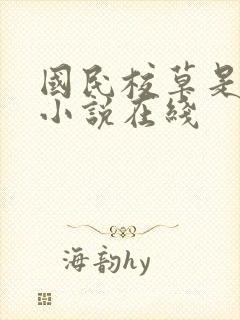 国民校草是女生小说在线