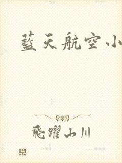 蓝天航空小说