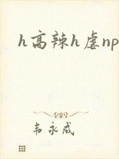 h高辣h虐np