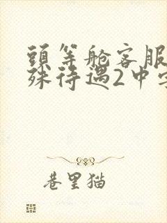 头等舱客服的特殊待遇2中字封面