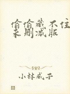 偷偷藏不住小说未删减版