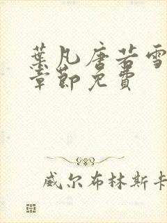 叶凡唐若雪最新章节免费