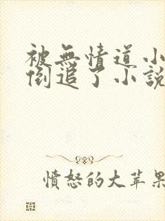 被无情道小师弟倒追了小说