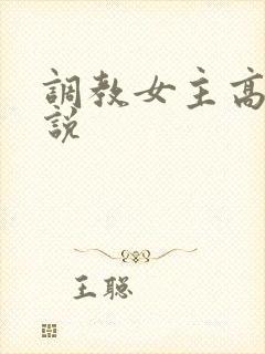 调教女主高h小说封面