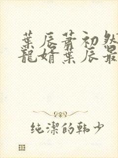 叶辰萧初然上门龙婿叶辰最新