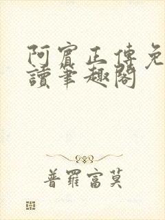 阿宾正传免费阅读笔趣阁封面