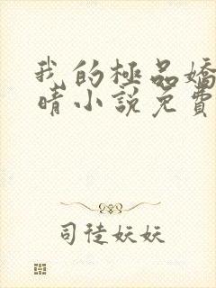 我的极品娇妻苏晴小说免费阅读