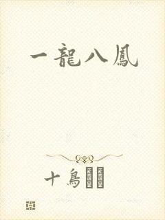 一龙八凤