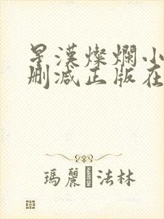 星汉灿烂小说无删减正版在线阅读