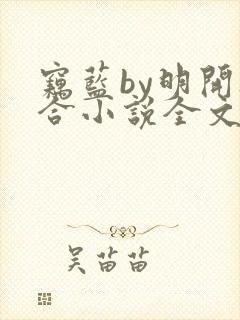 窃蓝by明开夜合小说全文免费阅读