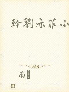 干刘亦菲小说封面