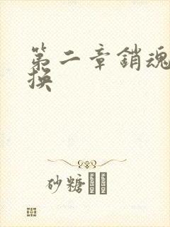 第二章销魂的交换