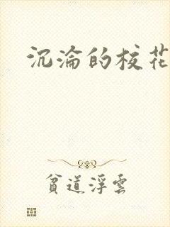 沉沦的校花封面