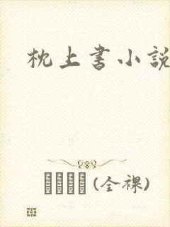 枕上书小说