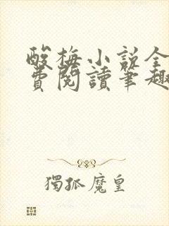 酸梅小说全文免费阅读笔趣阁