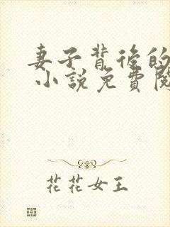 妻子背后的秘密 小说免费阅读封面